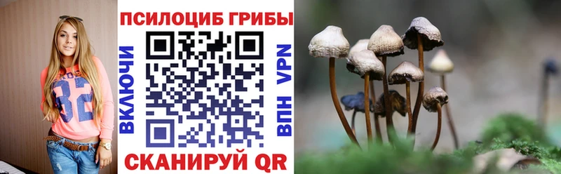 Псилоцибиновые грибы Magic Shrooms  Купить где  Арамиль 