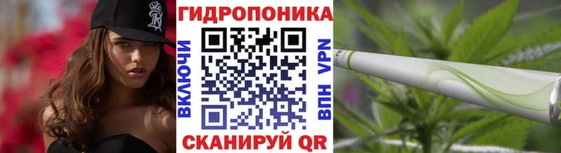 Купить закладки  Арамиль  Бошки марихуана OG Kush 